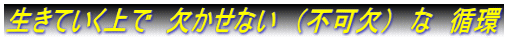 生きていく上で　欠かせない　（不可欠）　な　循環